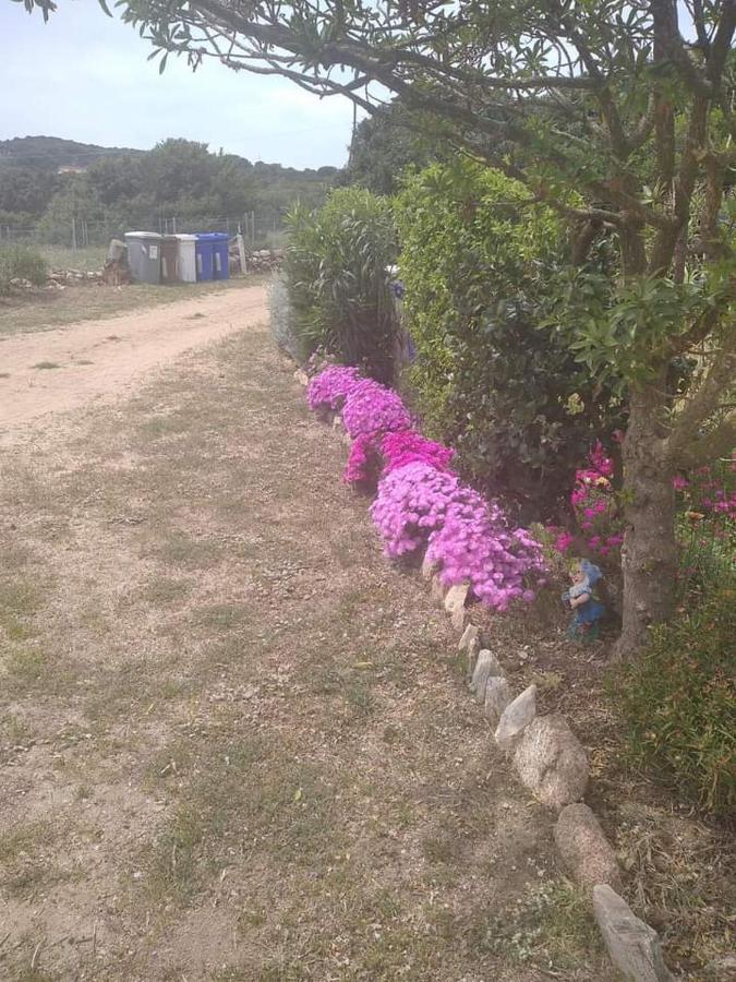 B&B Li Salcuneddi Aglientu Exterior photo